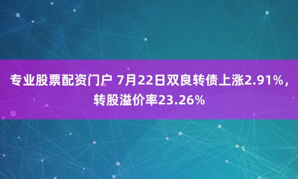专业股票配资门户 7月22日双良转债上涨2.91%，转股溢价率23.26%