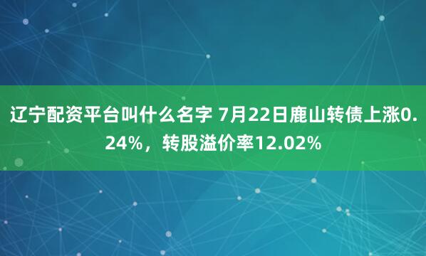 辽宁配资平台叫什么名字 7月22日鹿山转债上涨0.24%，转股溢价率12.02%